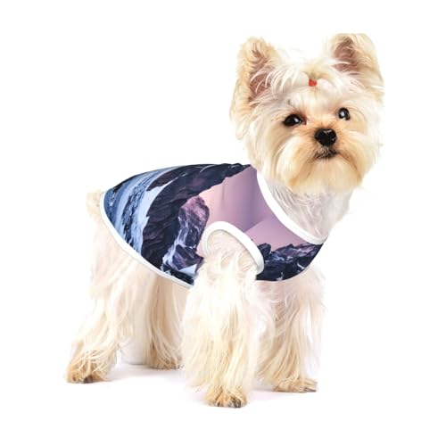 Reise-T-Shirts für kleine Hunde, modisch, atmungsaktiv, ärmellos, für kleine Hunde Reise-T-Shirts für kleine Hunde, modisch, atmungsaktiv, ärmellos, für kleine Hunde von GaxfjRu