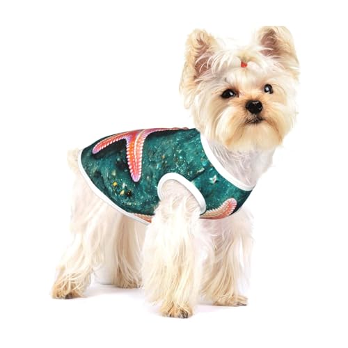Seewasser-T-Shirt mit Seestern-Aufdruck für kleine Hunde, modisches Hemd, atmungsaktiv, ärmellos für kleine Hunde Seewasser-T-Shirt mit Seestern-Aufdruck für kleine Hunde, modisches Hemd, atmungsaktiv, ärmellos für kleine Hunde von GaxfjRu