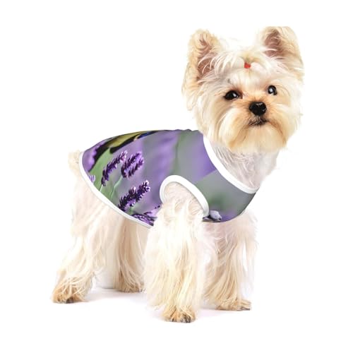 T-Shirt für kleine Hunde, Vogel in lila Lavendel, Blumendruck, atmungsaktiv, ärmellos, für kleine Hunde von GaxfjRu