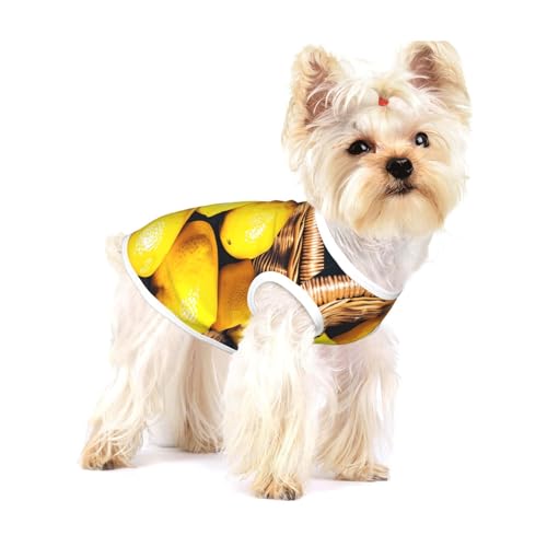 T-Shirt mit Korb-Zitronen-Aufdruck für kleine Hunde, modisches Hemd, atmungsaktiv, ärmellos für kleine Hunde T-Shirt mit Korb-Zitronen-Aufdruck für kleine Hunde, modisches Hemd, atmungsaktiv, ärmellos für kleine Hunde von GaxfjRu