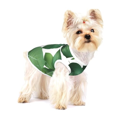 T-Shirt mit Kräuterpflanzen-Blätterdruck für kleine Hunde, modisches Hemd, atmungsaktiv, ärmellos für kleine Hunde von GaxfjRu