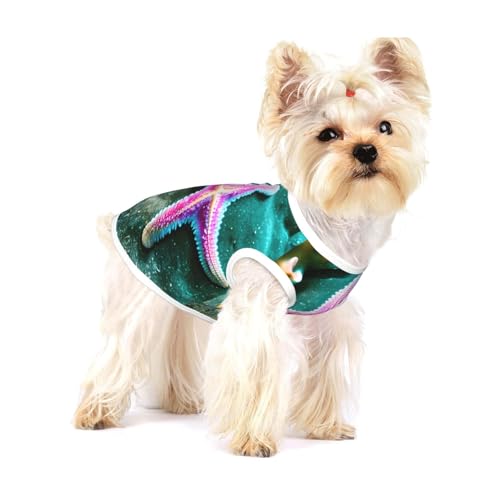 T-Shirt mit Seestern-Aufdruck für kleine Hunde, modisches Hemd, atmungsaktiv, ärmellos für kleine Hunde T-Shirt mit Seestern-Aufdruck für kleine Hunde, modisches Hemd, atmungsaktiv, ärmellos für kleine Hunde von GaxfjRu