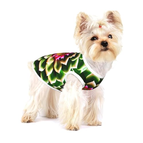 T-Shirt mit blühendem Kaktusblumendruck für kleine Hunde, modisches Hemd, atmungsaktiv, ärmellos für kleine Hunde T-Shirt mit blühendem Kaktusblumendruck für kleine Hunde, modisches Hemd, atmungsaktiv, ärmellos für kleine Hunde von GaxfjRu