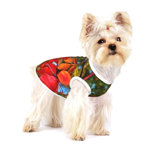 T-Shirt mit roten Blättern und Früchten für kleine Hunde, modisches Hemd, atmungsaktiv, ärmellos, für kleine Hunde T-Shirt mit roten Blättern und Früchten für kleine Hunde, modisches Hemd, atmungsaktiv, ärmellos, für kleine Hunde von GaxfjRu