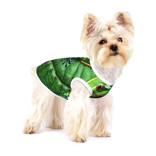 T-Shirts mit Froschblätter-Aufdruck für kleine Hunde, modisches Hemd, atmungsaktiv, ärmellos für kleine Hunde T-Shirts mit Froschblätter-Aufdruck für kleine Hunde, modisches Hemd, atmungsaktiv, ärmellos für kleine Hunde von GaxfjRu
