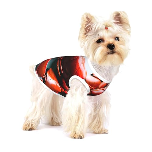 T-Shirts mit Hummer-Aufdruck für kleine Hunde, modisches Hemd, atmungsaktiv, ärmellos für kleine Hunde von GaxfjRu