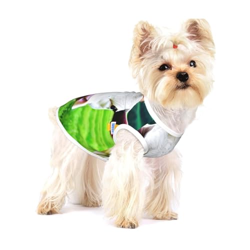 T-Shirts mit Kuhmuster für kleine Hunde, modisches Hemd, atmungsaktiv, ärmellos für kleine Hunde T-Shirts mit Kuhmuster für kleine Hunde, modisches Hemd, atmungsaktiv, ärmellos für kleine Hunde von GaxfjRu