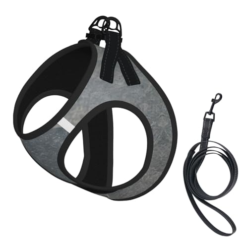Zen Hundegeschirr und Leine, Set mit Steindruck, reflektierend, verstellbar, Welpenweste für kleine, mittelgroße und große Hunde, Katzen Zen Hundegeschirr und Leine, Set mit Steindruck, reflektierend, verstellbar, Welpenweste für kleine, mittelgroße und große Hunde, Katzen von GaxfjRu