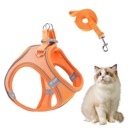 Gazocua Geschirr Und Leine Set Für Kleine Hunde | Anti-Zug Geschirr Mit Leine Für Hunde | Atmungsaktives Reflektierendes Welpen Katzen Für Training Auto Reisen Wandern von Gazocua