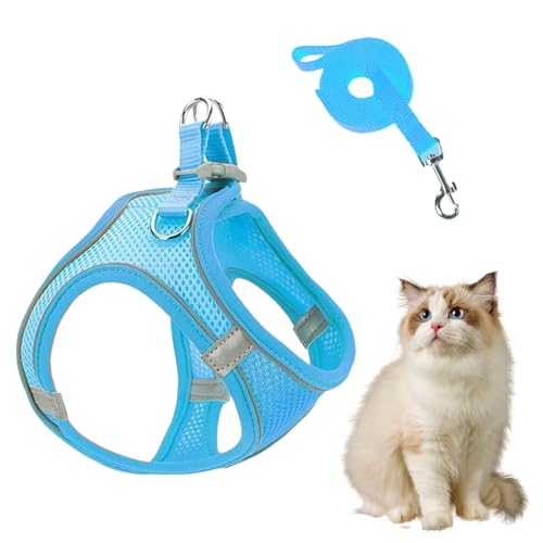 Gazocua Hundegeschirr mit Leinen - Mesh Geschirr und Hundeleinen Kombination - Atmungsaktives Reflektierendes Welpen Katzen Geschirr Für Training Auto Reisen Wandern von Gazocua