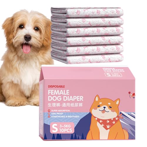 Gazocua Hundewindeln | 10 Stück Hundebinden Für Läufigkeit | Auslaufsicherer Atmungsaktiver Verband Für Erholung Eingeschränkte Haustiere Indoor Training Gazocua Hundewindeln | 10 Stück Hundebinden Für Läufigkeit | Auslaufsicherer Atmungsaktiver Verband Für Erholung Eingeschränkte Haustiere Indoor Training von Gazocua