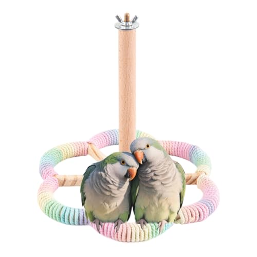 Gazocua Sittich Sitzstange - Bereicherungs Dreh Spielstand | Kolibri Sitzstange Für Käfig Kanarienvögel Sittiche Kleine Und Mittelgroße Vögel Gazocua Sittich Sitzstange - Bereicherungs Dreh Spielstand | Kolibri Sitzstange Für Käfig Kanarienvögel Sittiche Kleine Und Mittelgroße Vögel von Gazocua