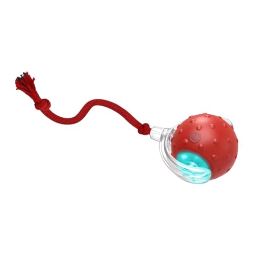 Gbloodst Interaktives Spielzeug für Indoor-Katzen, schnell rollender Ball auf dem , Spielzeug für Katzen, die quietschen und durch Bewegung aktiviert werden Gbloodst Interaktives Spielzeug für Indoor-Katzen, schnell rollender Ball auf dem , Spielzeug für Katzen, die quietschen und durch Bewegung aktiviert werden von Gbloodst