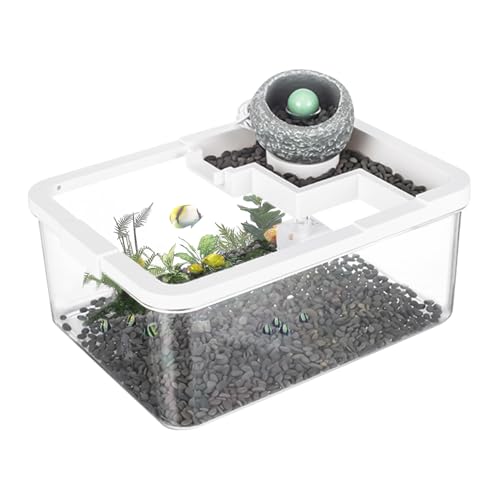 Desktop -Aquarium, Multi -Funktion -Pumpenschale, Desktop -Hydroponic -Aquarien mit USB -Pumpe und Licht, 29 x 22 x 12 cm, einfach zu bedienen, perfekt für Couchtischämme Kommode Reptile Desktop -Aquarium, Multi -Funktion -Pumpenschale, Desktop -Hydroponic -Aquarien mit USB -Pumpe und Licht, 29 x 22 x 12 cm, einfach zu bedienen, perfekt für Couchtischämme Kommode Reptile von Gcerfby