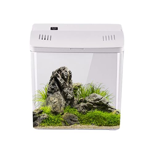 Gcerfby Desktop Aquarium | Leises Aquarium Mit Filter | Haustierzubehör Für Schreibtisch Quallen Schildkröten | Büro Wohnzimmer Schreibtisch von Gcerfby