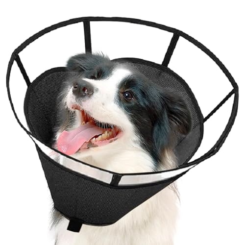 Hundehalsband, bequem, verstellbar, Wundpflege, sichtbar, schwarz, einfach zu bedienen, tragbar für mittelgroße und kleine Rassen Hundehalsband, bequem, verstellbar, Wundpflege, sichtbar, schwarz, einfach zu bedienen, tragbar für mittelgroße und kleine Rassen von Gcerfby
