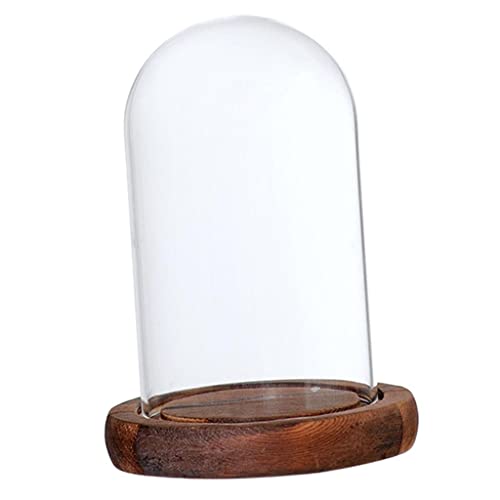 Gcljlmy Glashaube Glasglocke Glassturz mit Holzboden DIY Landschaften Fairy Garten Terrarium (Braun A) von Gcljlmy