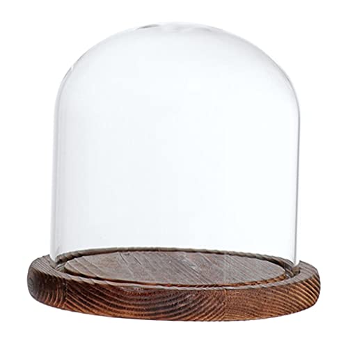 Gcljlmy Glashaube Glasglocke Glassturz mit Holzboden DIY Landschaften Fairy Garten Terrarium (Braun E) von Gcljlmy