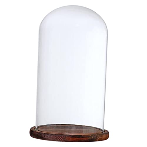Gcljlmy Glashaube Glasglocke Glassturz mit Holzboden DIY Landschaften Fairy Garten Terrarium (Brauner F) von Gcljlmy