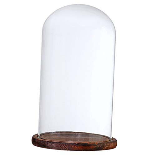 Gcljlmy Glashaube Glasglocke Glassturz mit Holzboden DIY Landschaften Fairy Garten Terrarium (Brauner G) von Gcljlmy