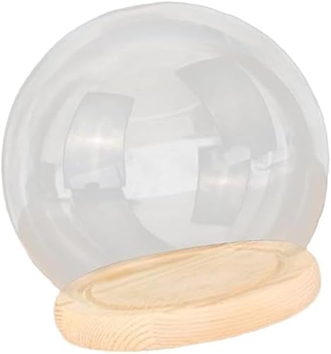 Gcljlmy Glaskuppel, Cloche, Terrarium, klarer, runder Behälter, dekorative Glaskugel, Abdeckung, Ständer, Display, Kugelglas für Blumen, DIY-Bastelarbeiten (10CM) von Gcljlmy
