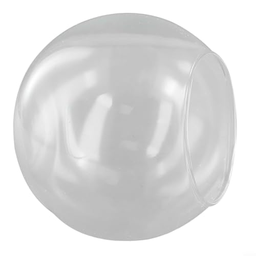 Transparenter Glas-Terrarienbehälter für Sukkulenten, perfekt für Heimdekoration und Event-Styling (C) von Gdfnmogo