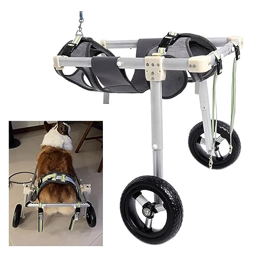 Haustierrollstuhl, Hunderollstuhl für Hinterbeine, Aluminiumlegierung, Haustierrollstuhl, 2 Räder, verstellbares Gehgerät für 5–60 kg Haustierhunde, Katzenrollstuhl, Mobilitätshilfe Haustierrollstuhl, Hunderollstuhl für Hinterbeine, Aluminiumlegierung, Haustierrollstuhl, 2 Räder, verstellbares Gehgerät für 5–60 kg Haustierhunde, Katzenrollstuhl, Mobilitätshilfe von GeELky