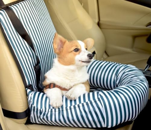 Haustier-Autositz, Hundeerhöhung für kleine, mittelgroße Hunde unter 15 kg, stabiler Sicherheits-Vordersitz für Reisen mit Ihren pelzigen Freunden, 50 x 50 cm (blau, gestreift) von GeRRiT