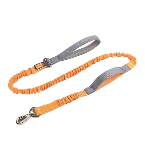 Heimtierbedarf, Neue Hundeleine, Hundeseil, elastisches Outdoor-Hundegehseil, mittlerer Hund. (Color : 1, Size : 2.5cm*1.25m) von GeRRiT