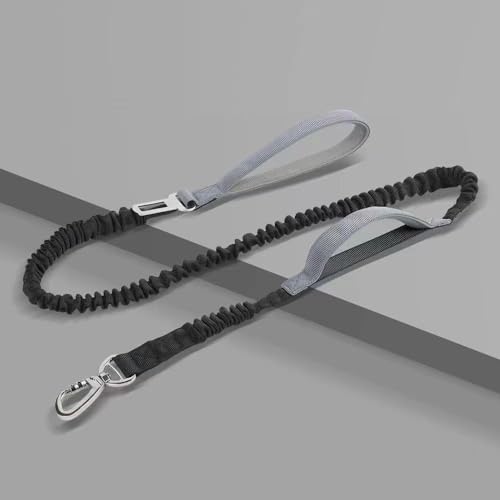 Heimtierbedarf, Neue Hundeleine, Hundeseil, elastisches Outdoor-Hundegehseil, mittlerer Hund. (Color : 2, Size : 2.5cm*1.25m) von GeRRiT