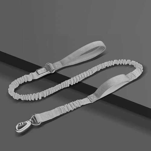 Heimtierbedarf, Neue Hundeleine, Hundeseil, elastisches Outdoor-Hundegehseil, mittlerer Hund. (Color : 5, Size : 2.5cm*1.25m) von GeRRiT