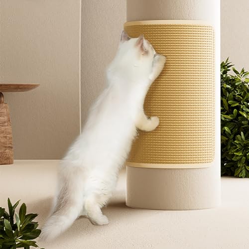 Kratzmatte für Haustiere, Kratzmatte Für Katzen, Kratzmatte für Katzen Aus Natürlichem Sisal, Kratzmatte für Katzen, Teppichschutz, Schützen Sie Wände, Sofas, Teppiche und Möbel (Size : 16 * 24in) Kratzmatte für Haustiere, Kratzmatte Für Katzen, Kratzmatte für Katzen Aus Natürlichem Sisal, Kratzmatte für Katzen, Teppichschutz, Schützen Sie Wände, Sofas, Teppiche und Möbel (Size : 16 * 24in) von GeRRiT