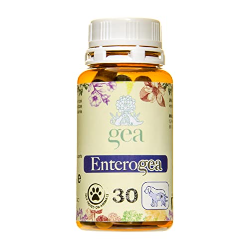 GEA Ergänzungsfutter Enterogea - 30 Kapseln - 15 g von Gea (GEA15)