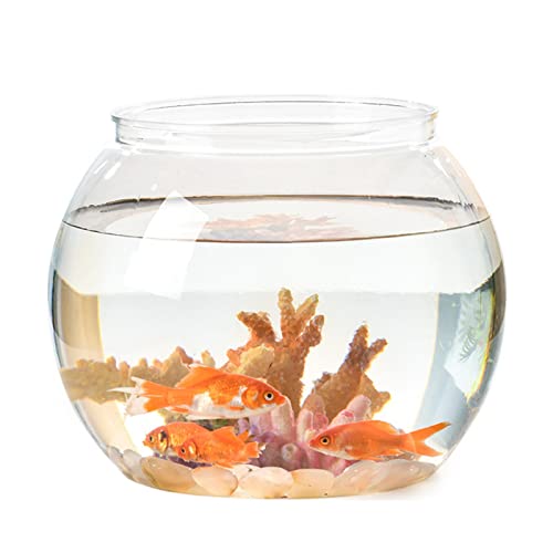 Aquarium, dekorativer Fischschalentisch, 11,5 x 13 cm, M, transparent von Geardeangloow