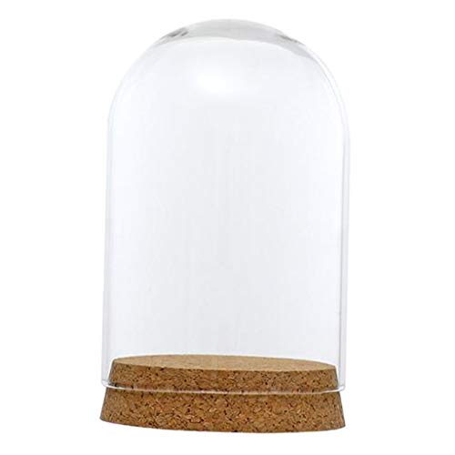 Glasabdeckung Landschaft Terrarium Behälter Deckel Vase Flasche 8x12cm von Geardeangloow