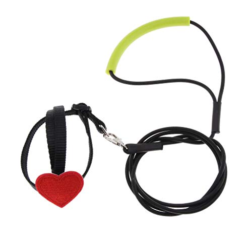 Hundegeschirr für Papageien, Haustierseil, Vögel, Outdoor-Trainingsleine, Schwarz, Größe XS Hundegeschirr für Papageien, Haustierseil, Vögel, Outdoor-Trainingsleine, Schwarz, Größe XS von Geardeangloow