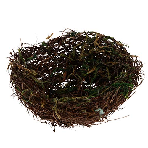 Vogelnest Handgefertigte Rebe Rattan Bett Natur für Papageien Nymphensittiche B:15cm Vogelnest Handgefertigte Rebe Rattan Bett Natur für Papageien Nymphensittiche B:15cm von Geardeangloow