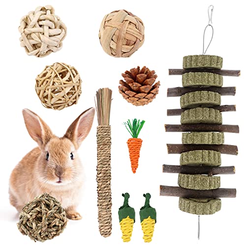 Gearific Häschen-Kauspielzeug, handgefertigtes Kaninchen-Kauspielzeug für die Zahngesundheit, natürliche Apfelholzstäbchen, Graskuchen für Meerschweinchen, Hamster, Kaninchen, kleine Haustiere von Gearific
