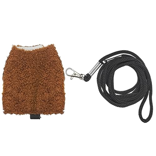 Geavonyg Bärdeddragongurt Mit Leinen Warme Kostümkiste Für Eidechsen Reptilien Kleidung Freien Aktivitätsanzug Bärdeddragon Kleidung Reptilien von Geavonyg