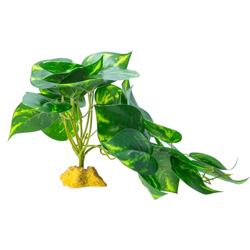 Geavonyg Falsches Gras Für Reptilienlebensräume Und Künstliche Pflanze Lebensräume Gehäuse Flexible Und Sichere Dekoration Künstliche Pflanze Geavonyg Falsches Gras Für Reptilienlebensräume Und Künstliche Pflanze Lebensräume Gehäuse Flexible Und Sichere Dekoration Künstliche Pflanze von Geavonyg