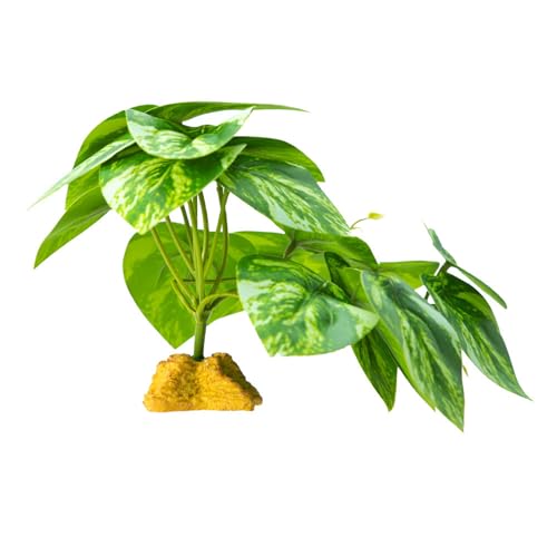 Geavonyg Falsches Gras Für Reptilienlebensräume Und Künstliche Pflanze Lebensräume Gehäuse Flexible Und Sichere Dekoration Künstliche Pflanze Geavonyg Falsches Gras Für Reptilienlebensräume Und Künstliche Pflanze Lebensräume Gehäuse Flexible Und Sichere Dekoration Künstliche Pflanze von Geavonyg