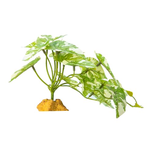 Geavonyg Falsches Gras Für Reptilienlebensräume Und Künstliche Pflanze Lebensräume Gehäuse Flexible Und Sichere Dekoration Künstliche Pflanze Geavonyg Falsches Gras Für Reptilienlebensräume Und Künstliche Pflanze Lebensräume Gehäuse Flexible Und Sichere Dekoration Künstliche Pflanze von Geavonyg