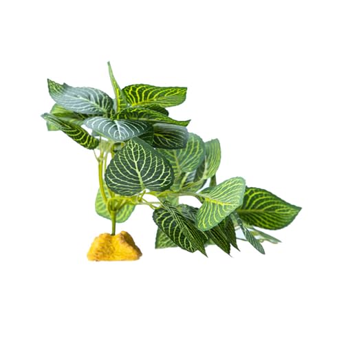 Geavonyg Falsches Gras Für Reptilienlebensräume Und Künstliche Pflanze Lebensräume Gehäuse Flexible Und Sichere Dekoration Künstliche Pflanze Geavonyg Falsches Gras Für Reptilienlebensräume Und Künstliche Pflanze Lebensräume Gehäuse Flexible Und Sichere Dekoration Künstliche Pflanze von Geavonyg