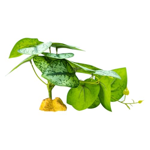 Geavonyg Falsches Gras Für Reptilienlebensräume Und Künstliche Pflanze Lebensräume Gehäuse Flexible Und Sichere Dekoration Künstliche Pflanze Geavonyg Falsches Gras Für Reptilienlebensräume Und Künstliche Pflanze Lebensräume Gehäuse Flexible Und Sichere Dekoration Künstliche Pflanze von Geavonyg