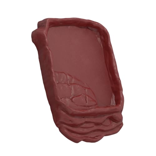 Geavonyg Imitation Rock Reptiles Dish Antislip Rampen Füttere Wasserstation Für Kleine Reptilien Ermits Easy Maintenances Food Bowl von Geavonyg