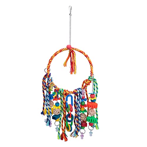 Geavonyg Papageien Käfig Spielzeug Mehrfarbige Holzperlen Blöcke Plastikkau Vogel Futterwand Für Bruee Conures Lovebirds Kaut Für Papageien Shotets Conures Futterwand Holzblöcke Geavonyg Papageien Käfig Spielzeug Mehrfarbige Holzperlen Blöcke Plastikkau Vogel Futterwand Für Bruee Conures Lovebirds Kaut Für Papageien Shotets Conures Futterwand Holzblöcke von Geavonyg