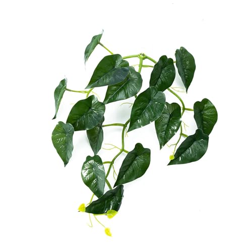 Geavonyg Wie Fischblattbett Fisch Laichen Aquarien Dekorationen Simulation Blatt Hängematte Ruhen Für Terrarien Terrariumpflanze von Geavonyg