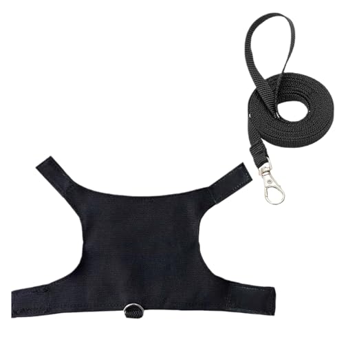 Praktische Leine Set Zuverlässigkeitsmaterial Niedliche Eidechsen Zu Fußwesten Und Leinenstrustseil Eidechsengurt Mit Buchstaben Print Cats Flucht Beweis Mit Traktion Praktische Leine Set Zuverlässigkeitsmaterial Niedliche Eidechsen Zu Fußwesten Und Leinenstrustseil Eidechsengurt Mit Buchstaben Print Cats Flucht Beweis Mit Traktion von Geavonyg