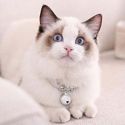 Gedourain Katzenglockenhalskette, Dekorationszubehör Haustierglockenhalsband Lichtecht für glückliches Laufen für kleine Haustiere(Simple White) von Gedourain