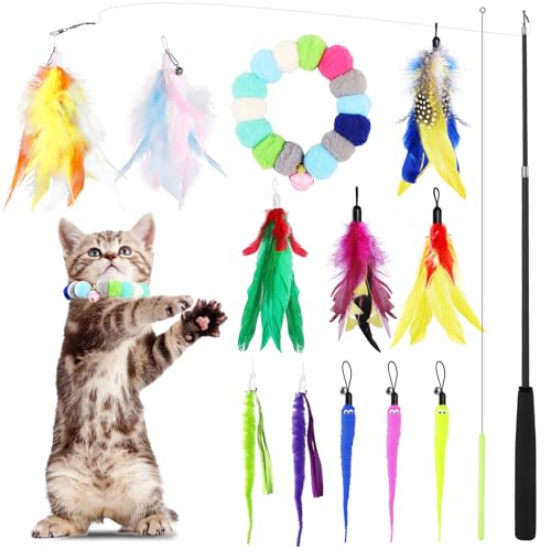 GeeRic Katzen Spielzeug, Interaktives Katzenspielzeug Feder14 Stück,Natürlich Interaktives Katzenspielzeug für Katzen,Intelligenz Spielzeug mit Federn von GeeRic